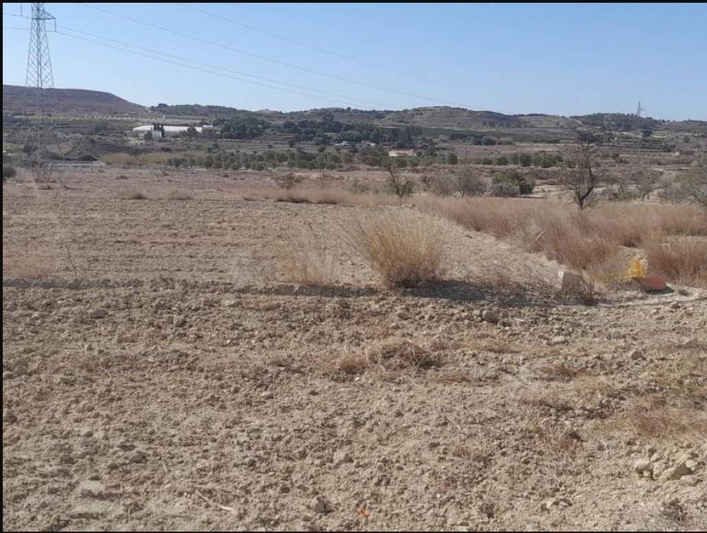 terreno Zona  Jubalcoi- Las Saladas