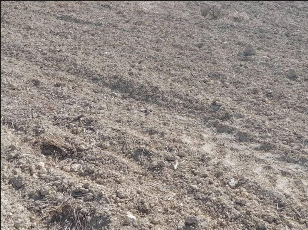 terreno Zona Jubalcoi- Las Saladas - foto 3