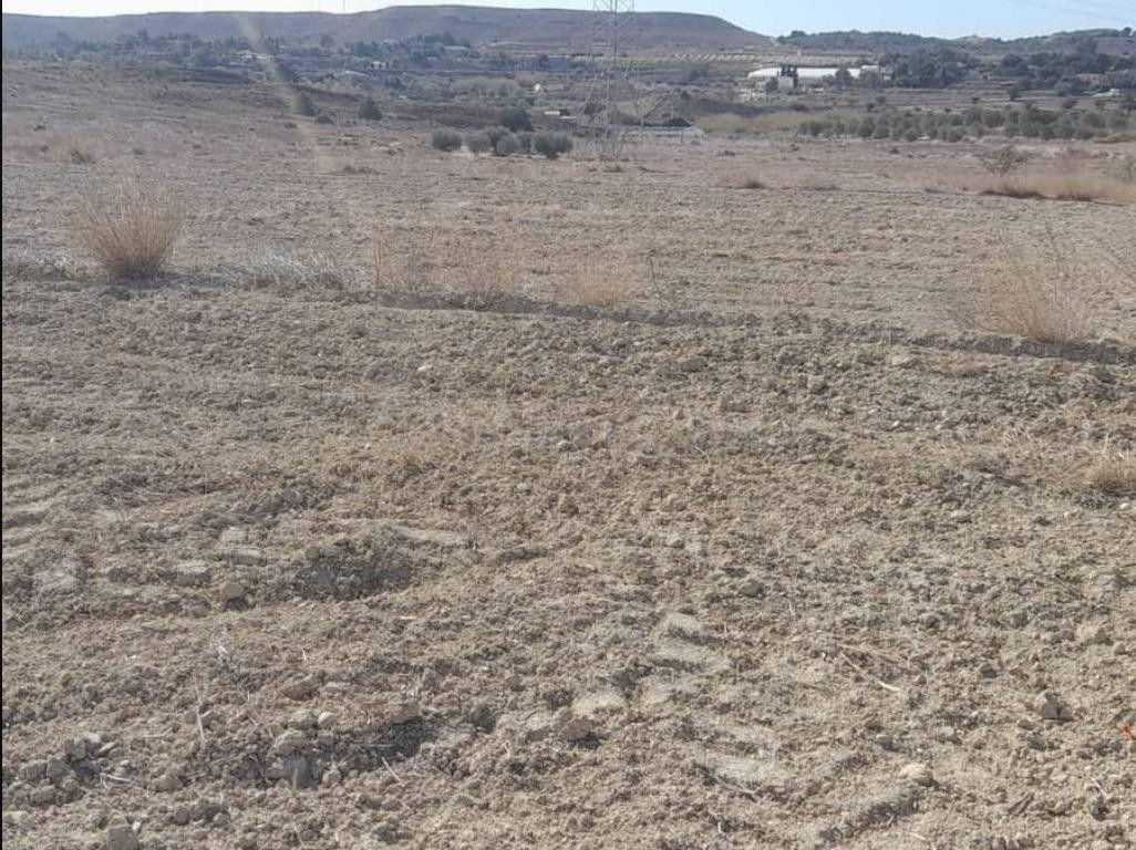 terreno Zona Jubalcoi- Las Saladas - foto 4