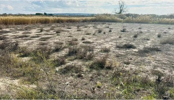 terreno rural, zona la Marina - foto 2