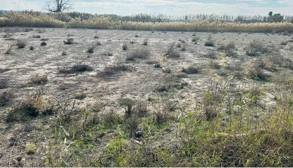 terreno rural, zona la Marina - foto 3
