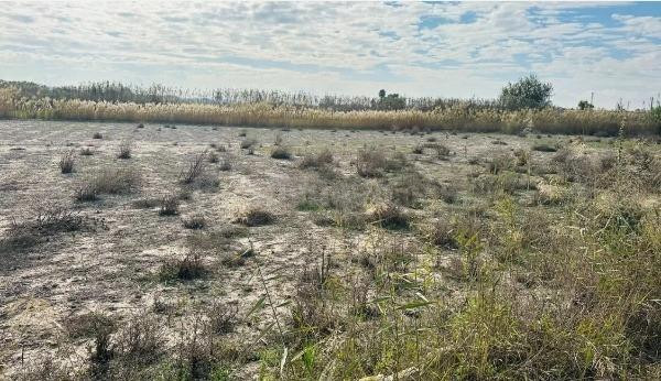 terreno rural, zona la Marina - foto 4