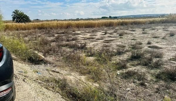 terreno rural, zona la Marina - foto 5