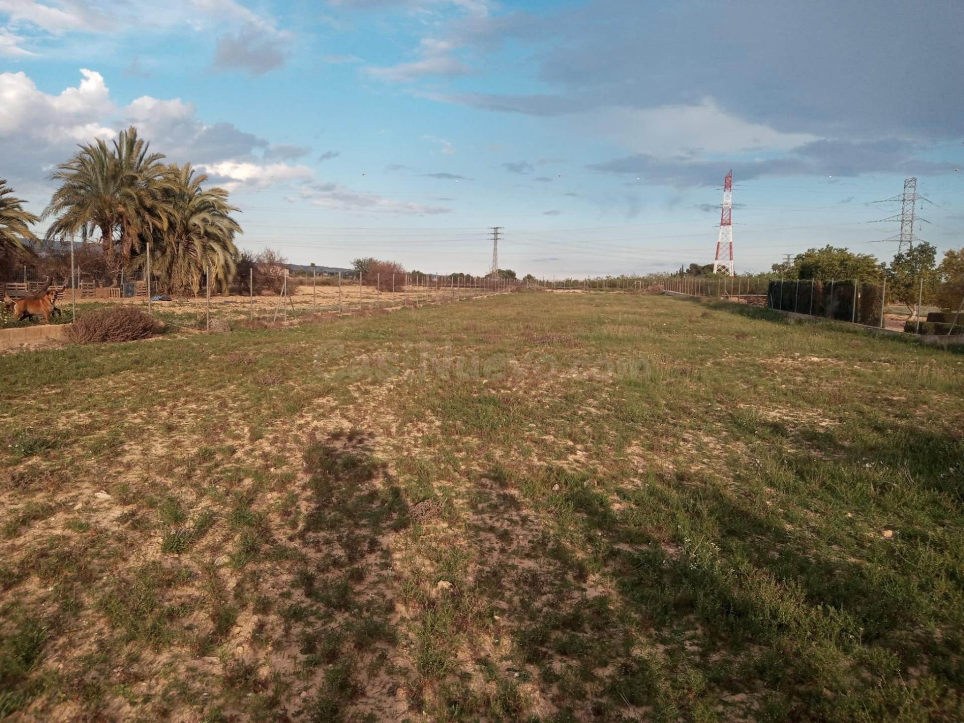 venta de parcela , zona Jubalcoi- Saladas - foto 2