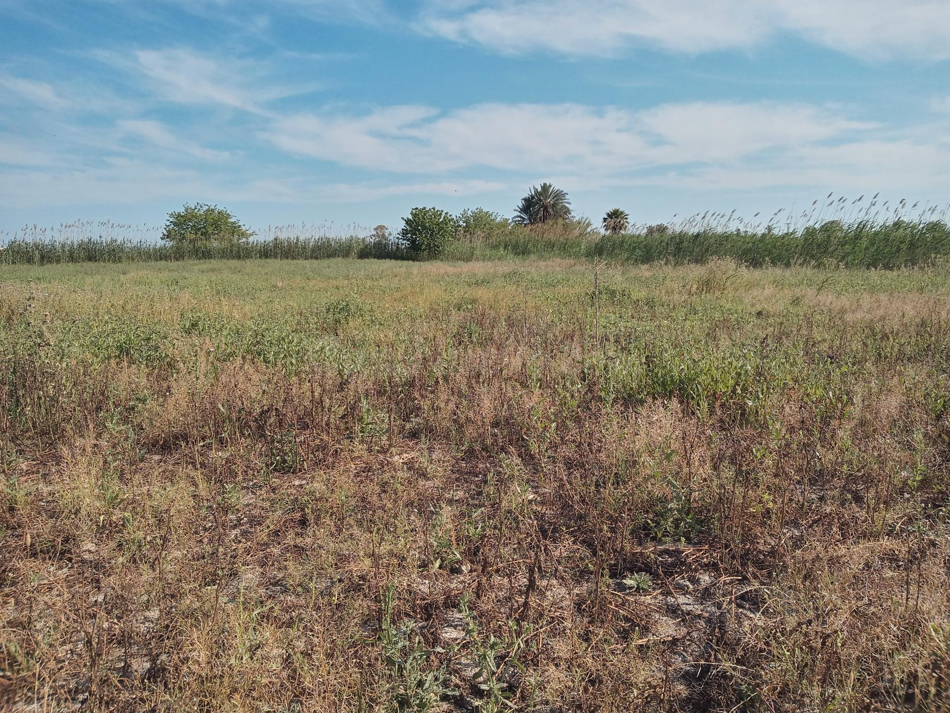 Terreno rural en venta - La Hoya-Daimes-El Derramador - foto 3
