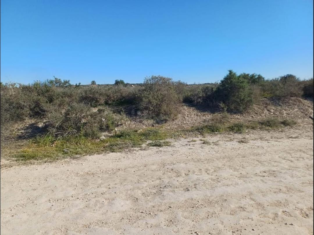 Venta terreno, La Marina- El Molar - foto 2