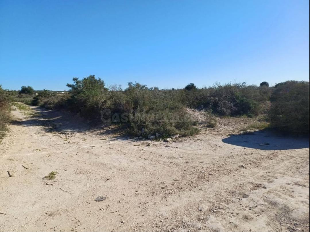 Venta terreno, La Marina- El Molar - foto 3