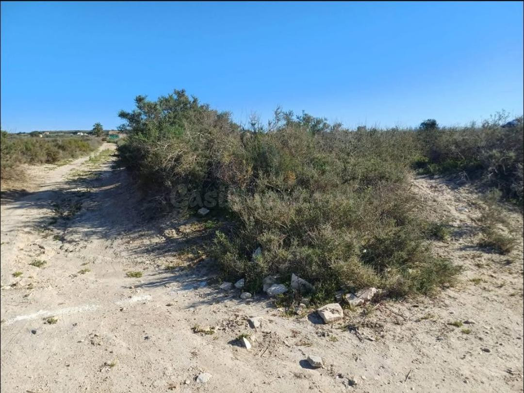 Venta terreno, La Marina- El Molar - foto 4