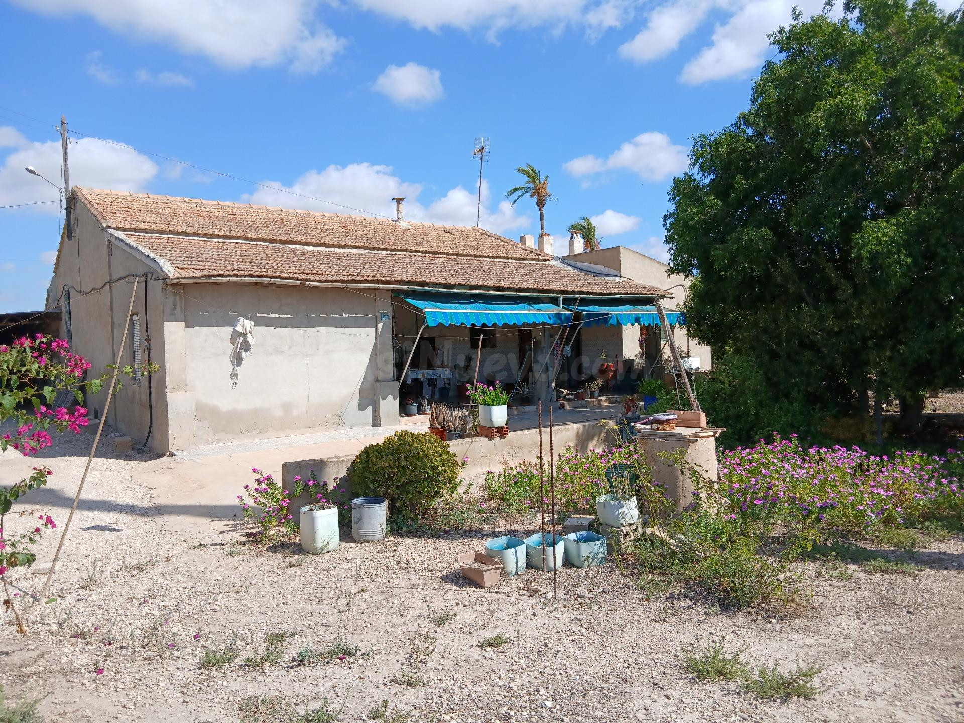 Finca en venta en Elche