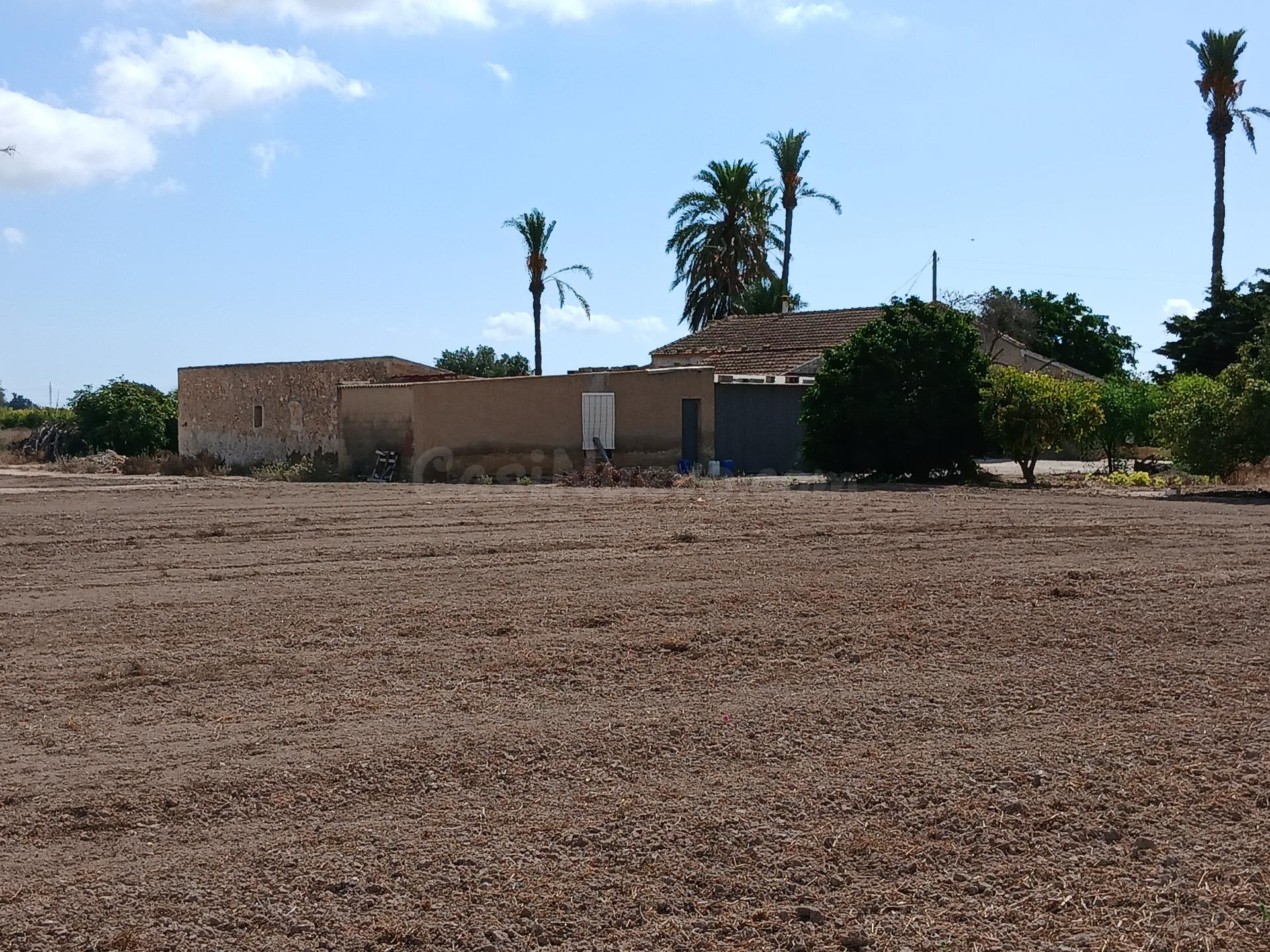 Finca en venta en Elche - foto 2