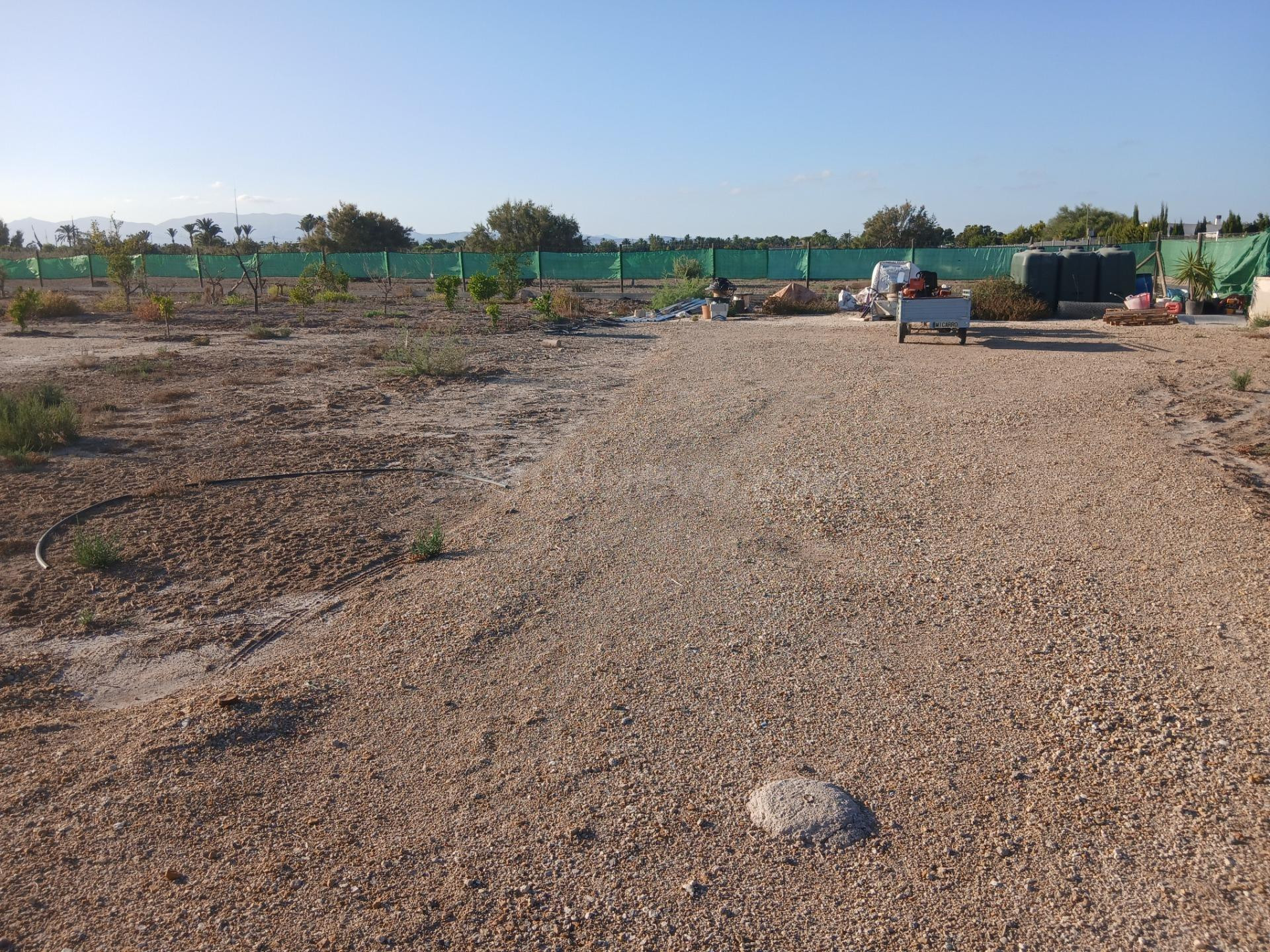 Terreno con proyecto para nave agricola - foto 3