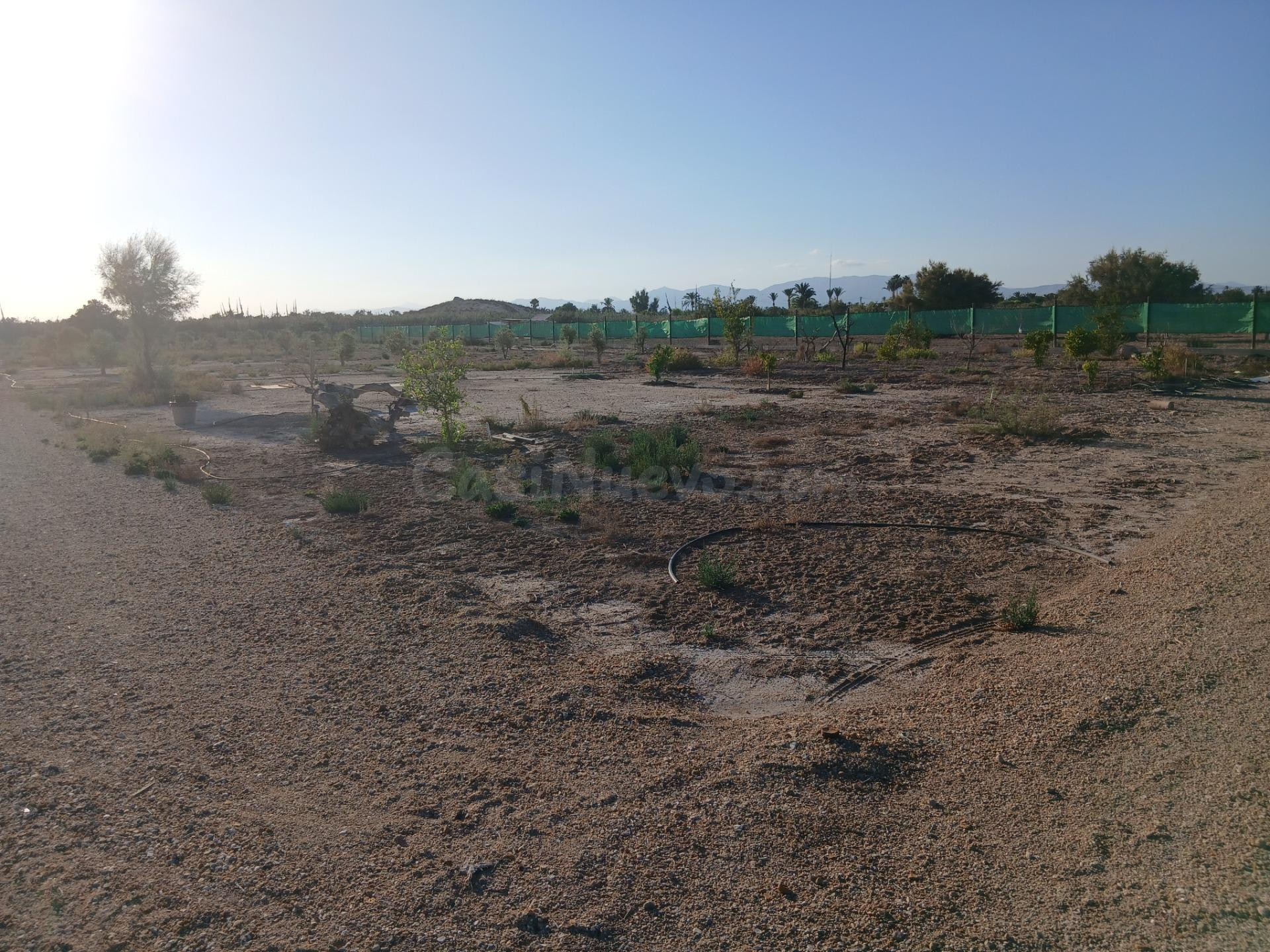 Terreno con proyecto para nave agricola - foto 4