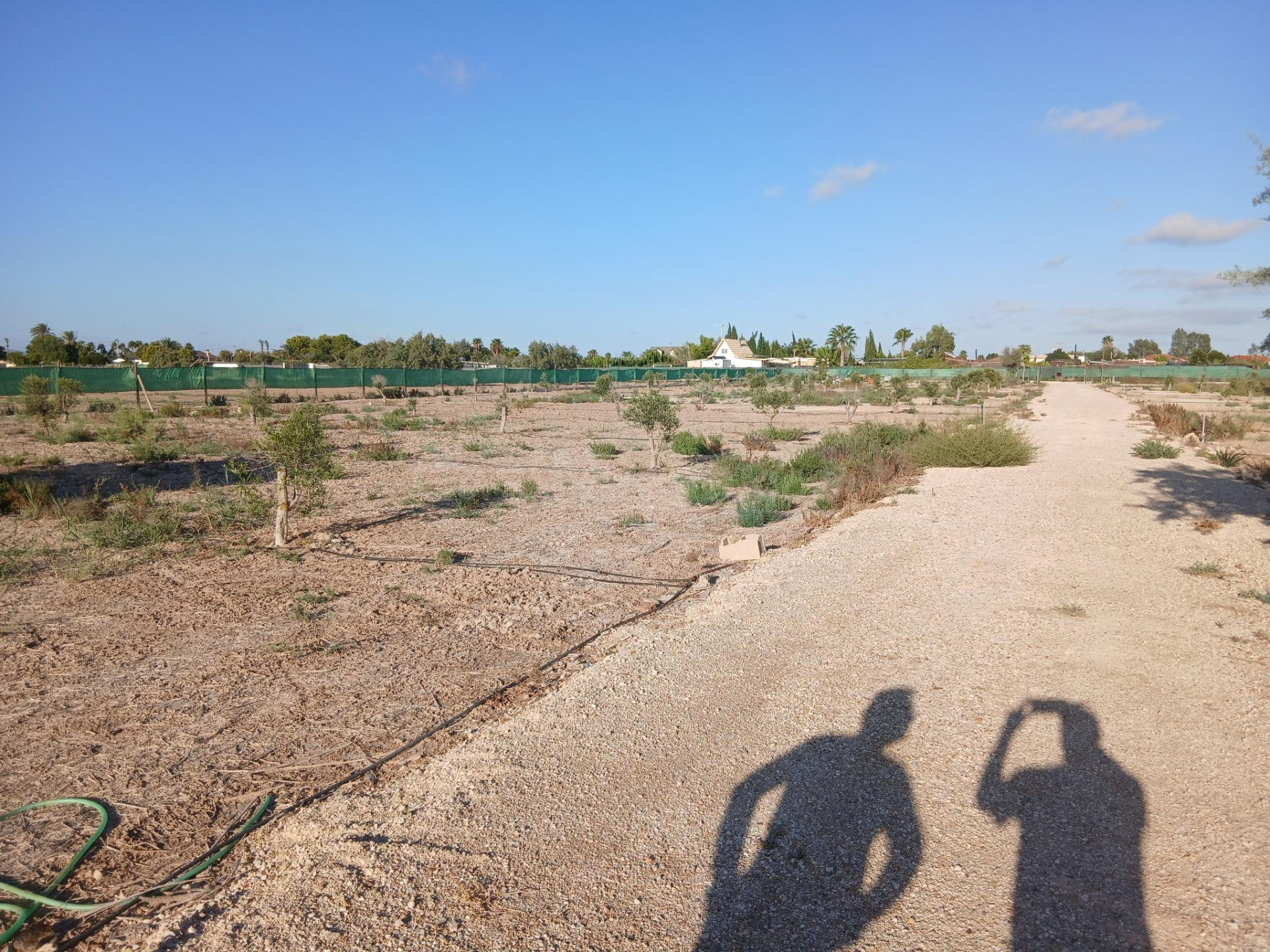 Terreno con proyecto para nave agricola - foto 5