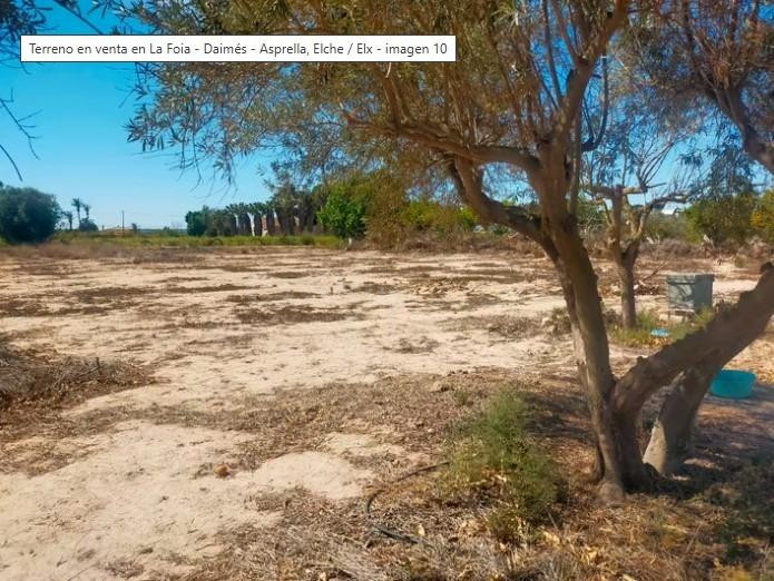 Terreno rustico en La Foia