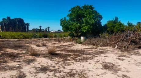 Terreno rustico en La Foia - foto 2