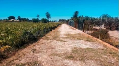 Terreno rustico en La Foia - foto 5