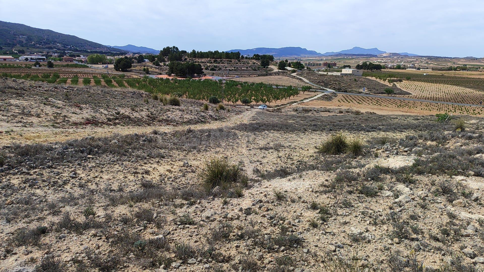 Parcela rústica en venta a 800m de Pinoso (Crevillente)