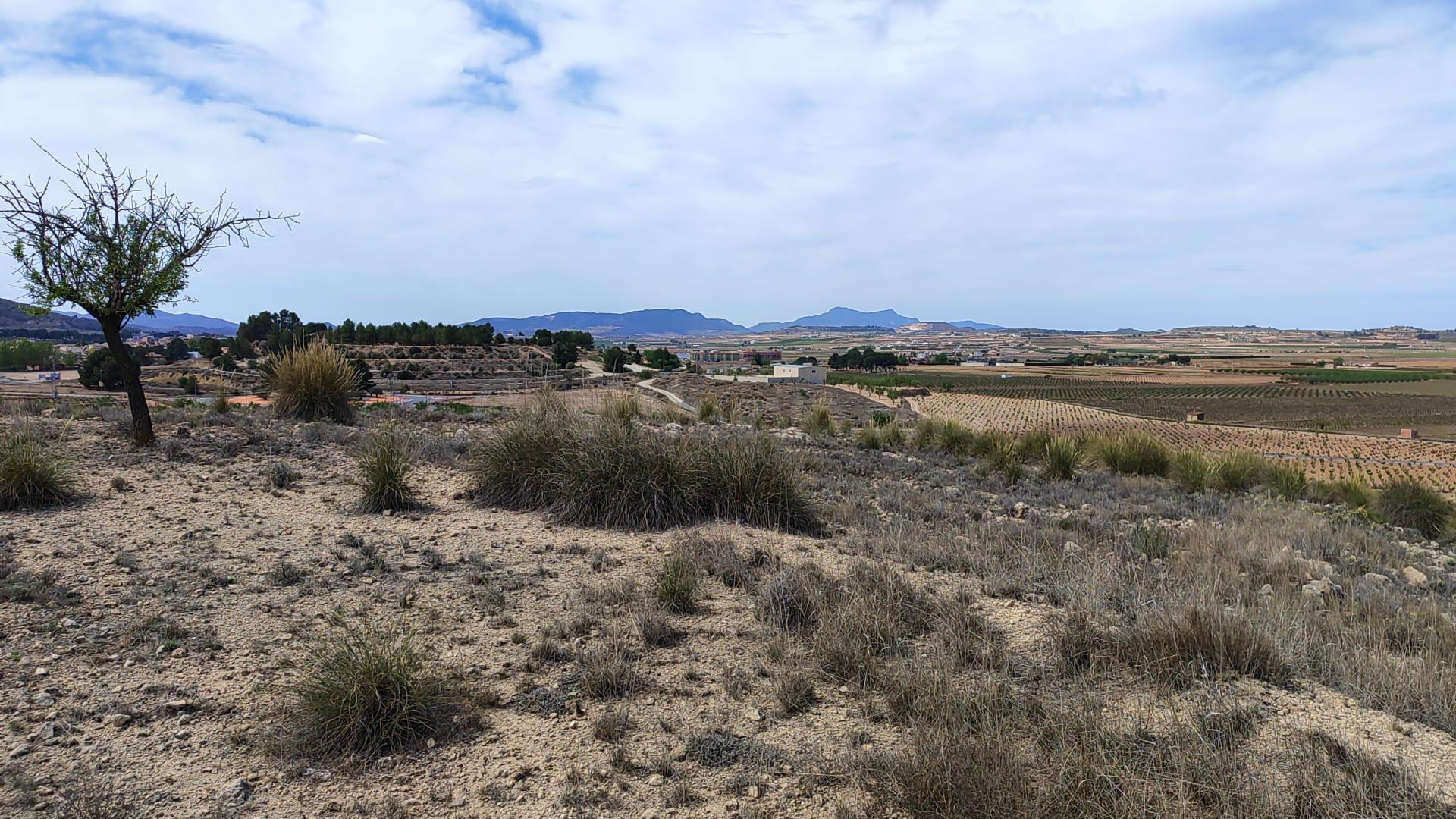 Parcela rústica en venta a 800m de Pinoso (Crevillente) - foto 2