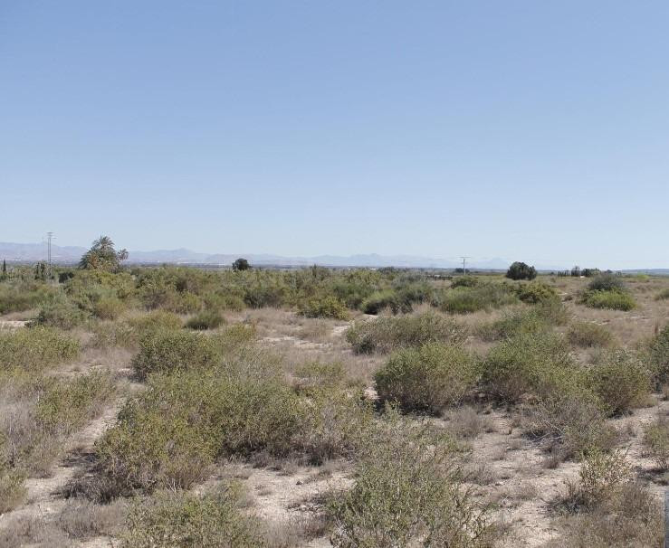 Terreno en venta para construir - foto 2