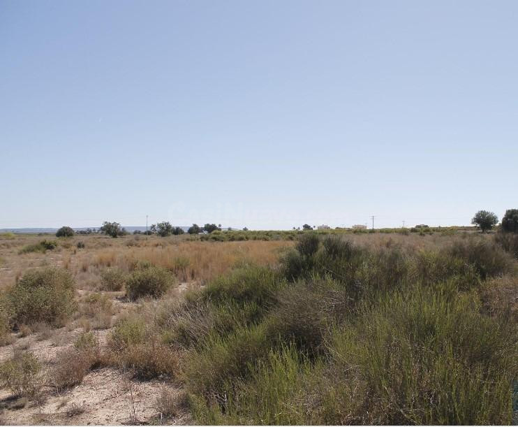 Terreno en venta para construir - foto 3