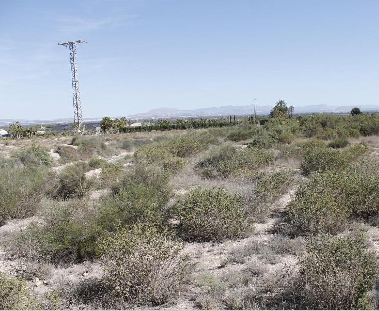 Terreno en venta para construir - foto 4
