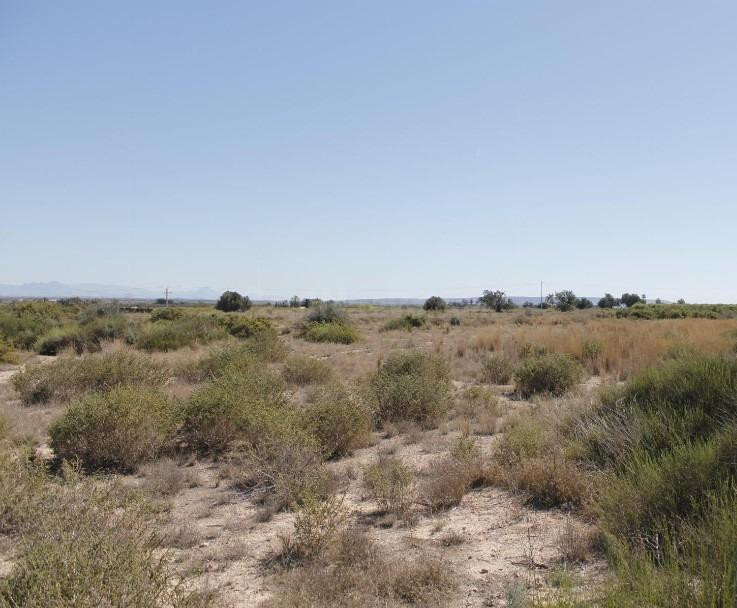 Terreno en venta para construir - foto 5