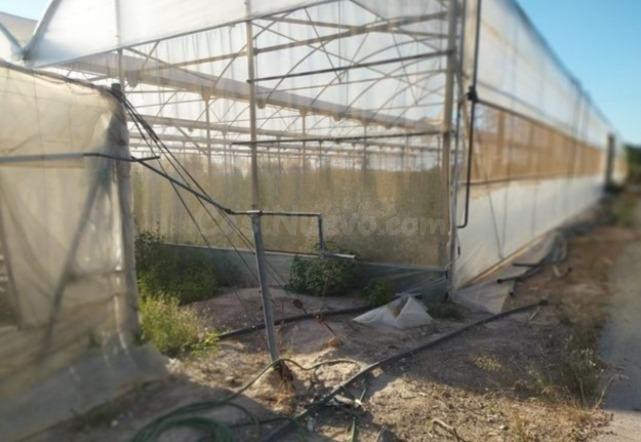 TERRENO EDIFICABLE CON GRAN INVERNADERO - foto 3
