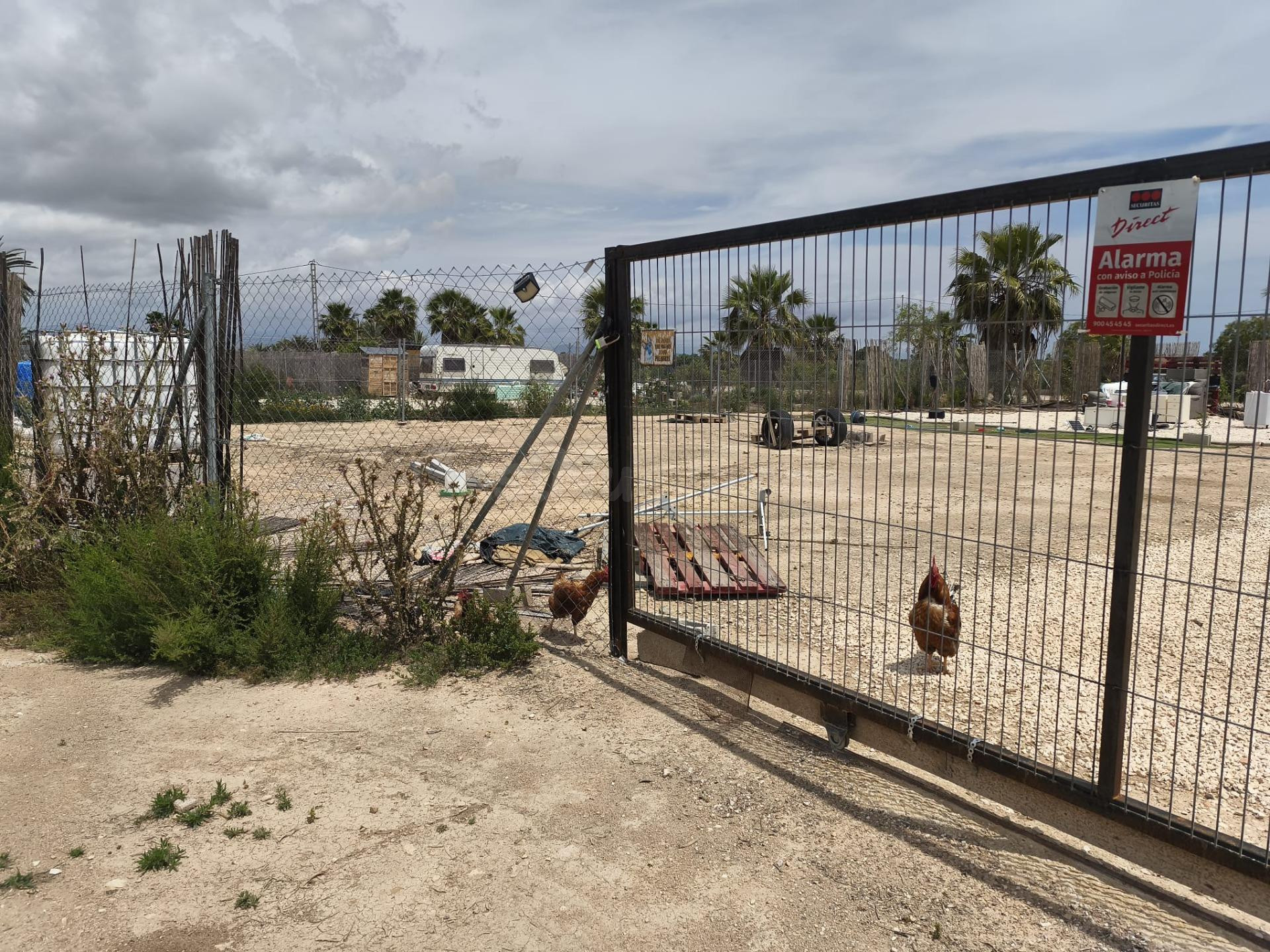Terreno rural en venta - Carretera la marina - foto 2