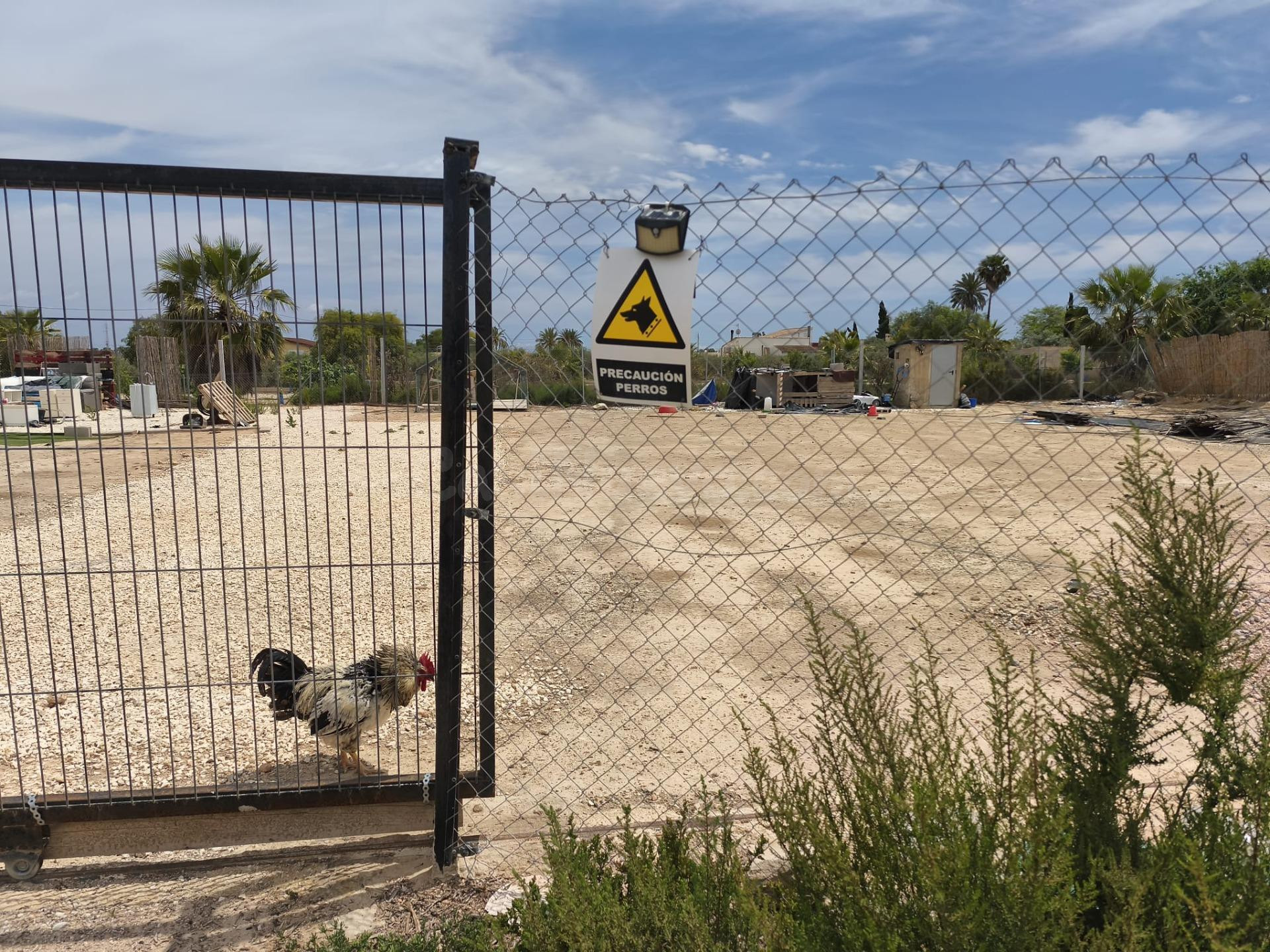 Terreno rural en venta - Carretera la marina - foto 3