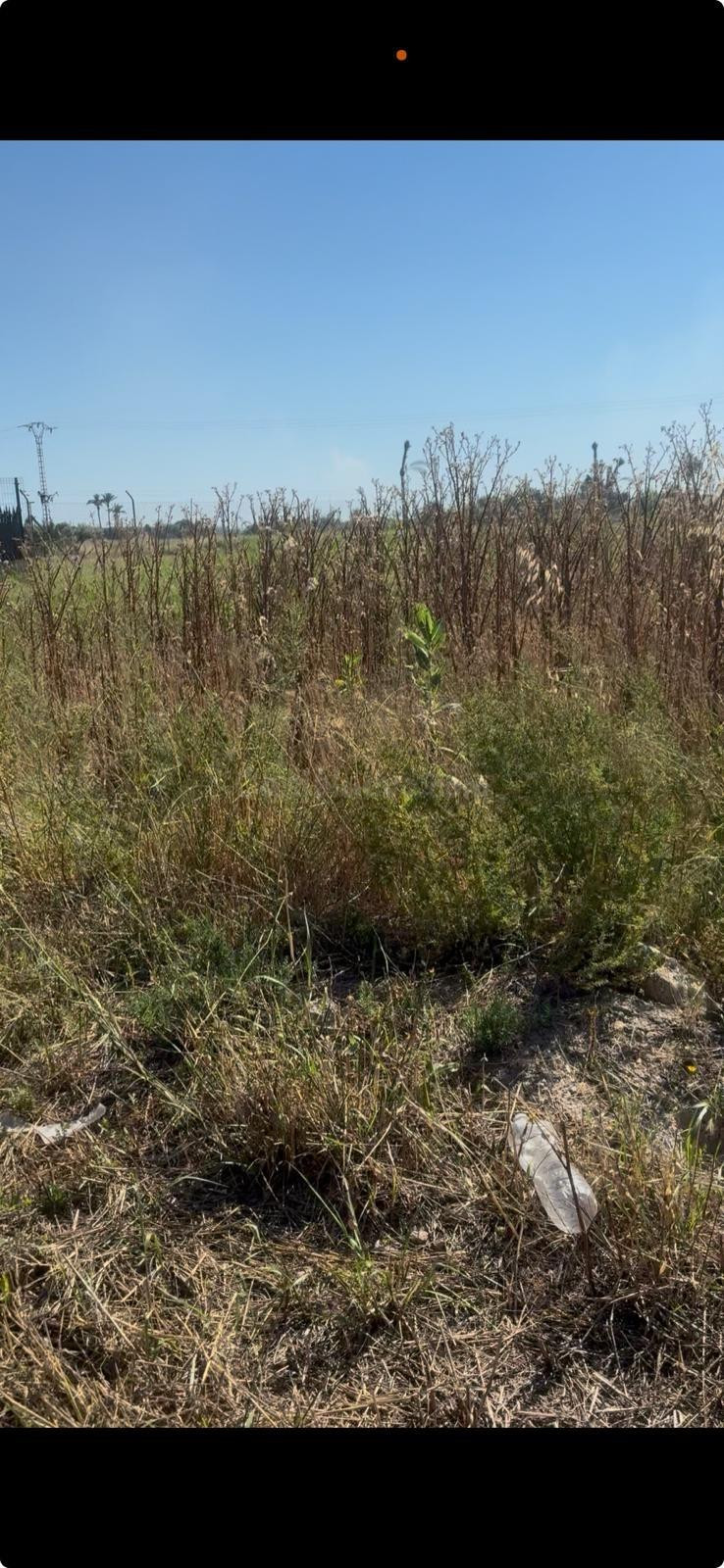 Terreno en Daimes vallado