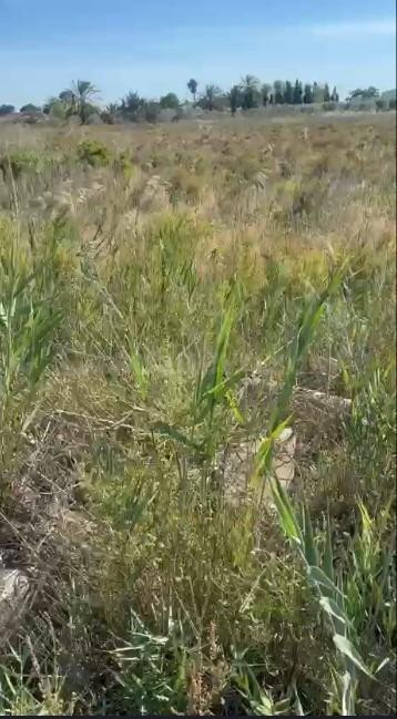 Terreno rustico en Daimés