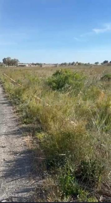 Terreno rustico en Daimés - foto 2
