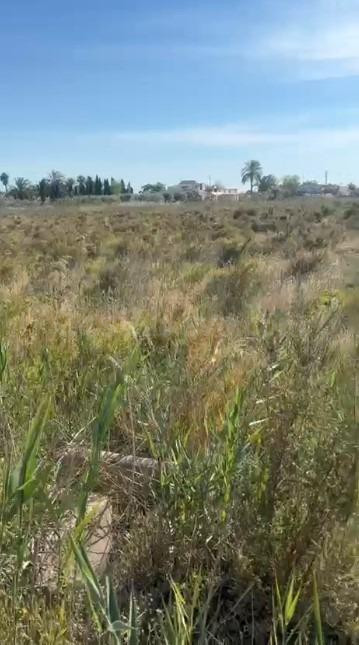 Terreno rustico en Daimés - foto 3