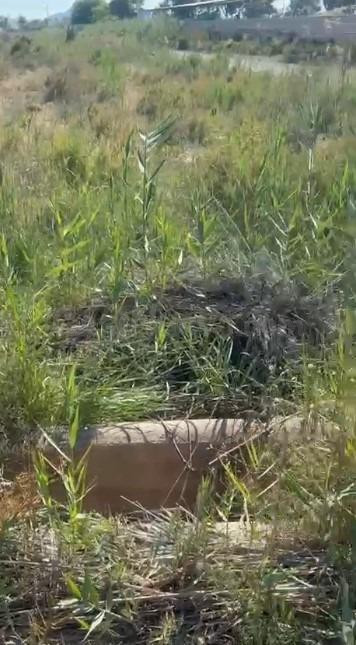 Terreno rustico en Daimés - foto 4