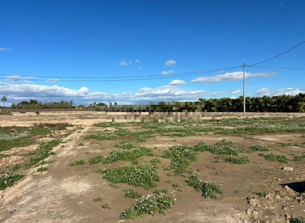 PARCELA DE 6.000m2