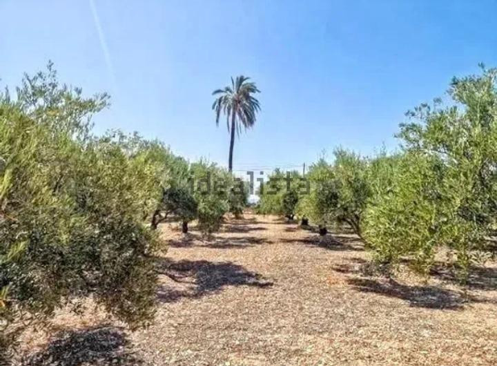 Terreno rustico a la venta