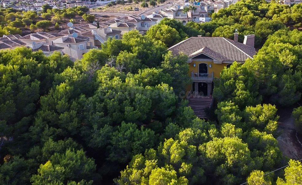 VILLA DE LUJO EN CIUDAD QUESADA UNICA EN LA ZONA - foto 2