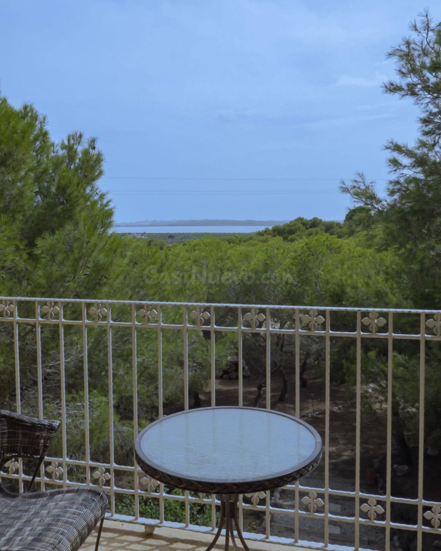 VILLA DE LUJO EN CIUDAD QUESADA UNICA EN LA ZONA - foto 4