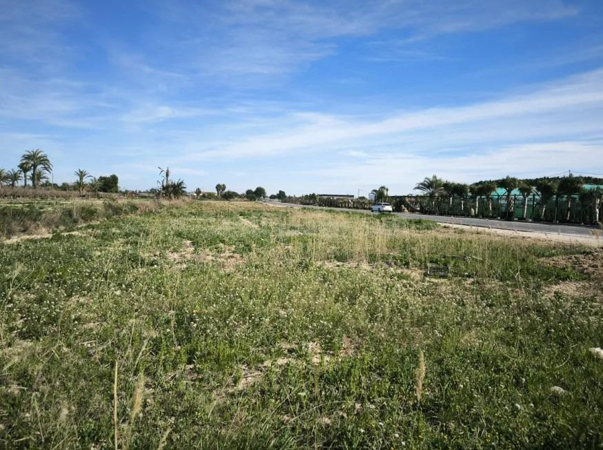 Terreno en Venta en Partida Daimes ( La Hoya) - foto 2