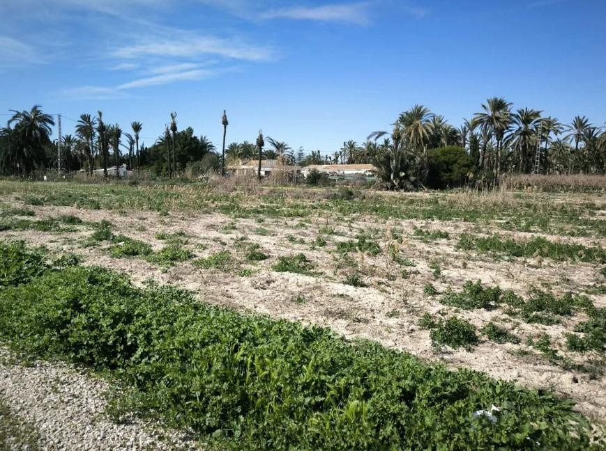 Terreno en Venta en Partida Daimes ( La Hoya) - foto 3