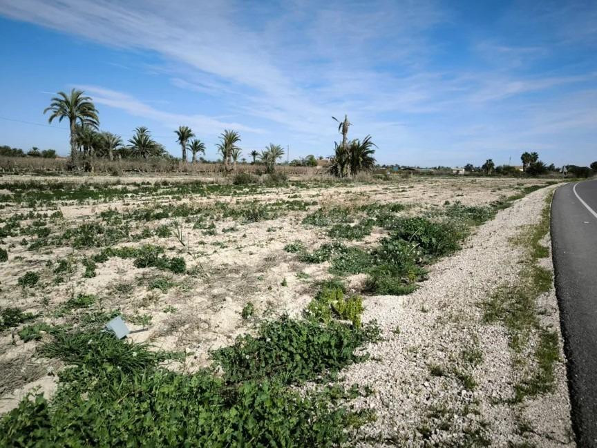 Terreno en Venta en Partida Daimes ( La Hoya) - foto 4