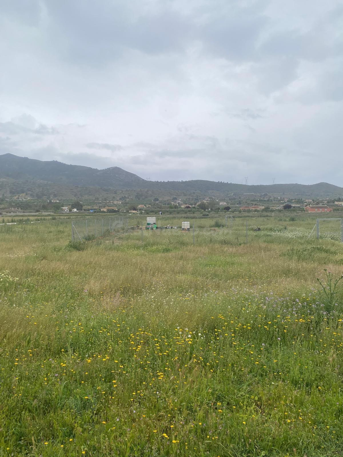 Parcela proindivisa en venta - foto 4