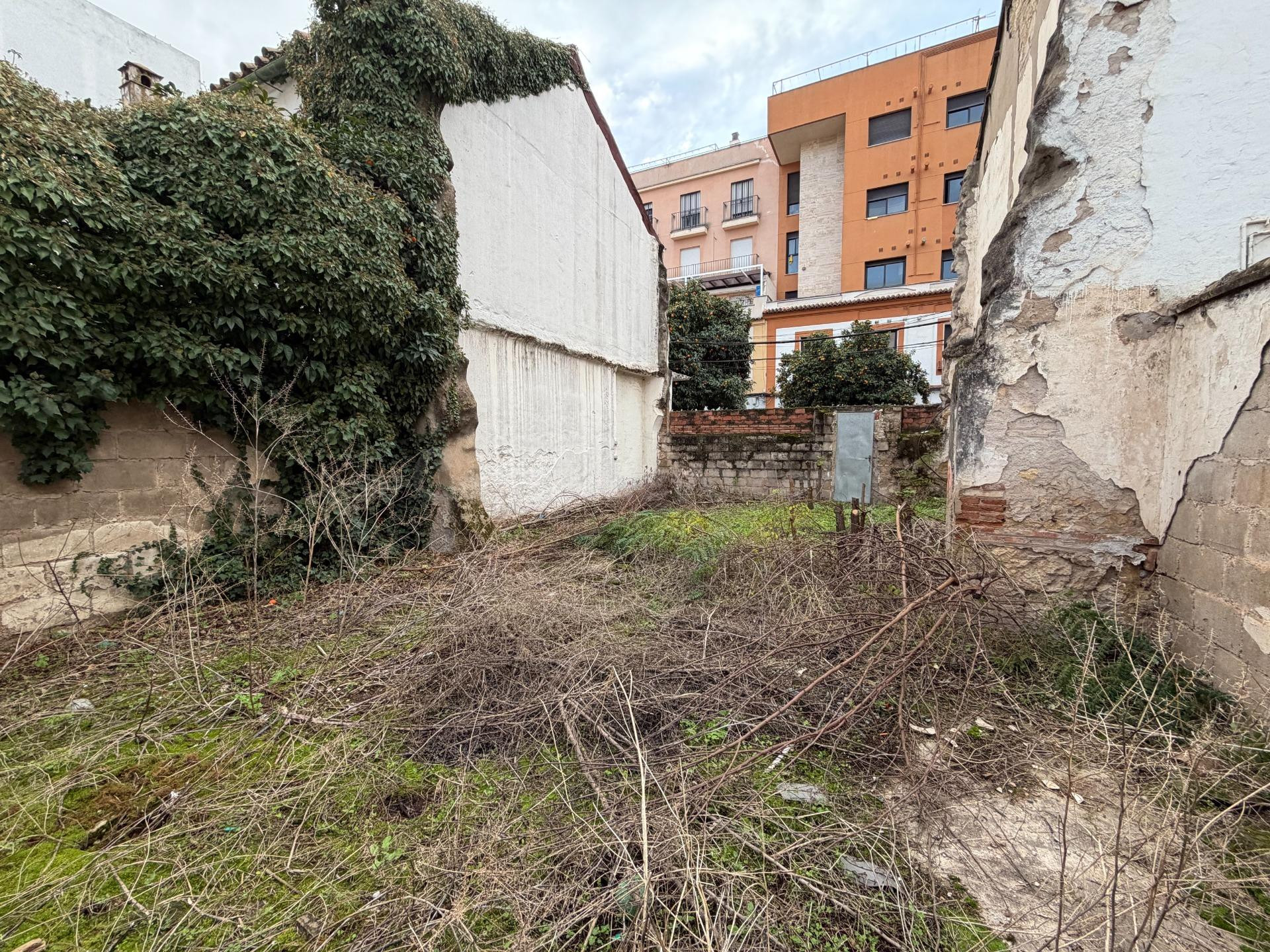 SE VENDE MAGNIFICO SOLAR EN CIUDAD JARDIN - foto 4