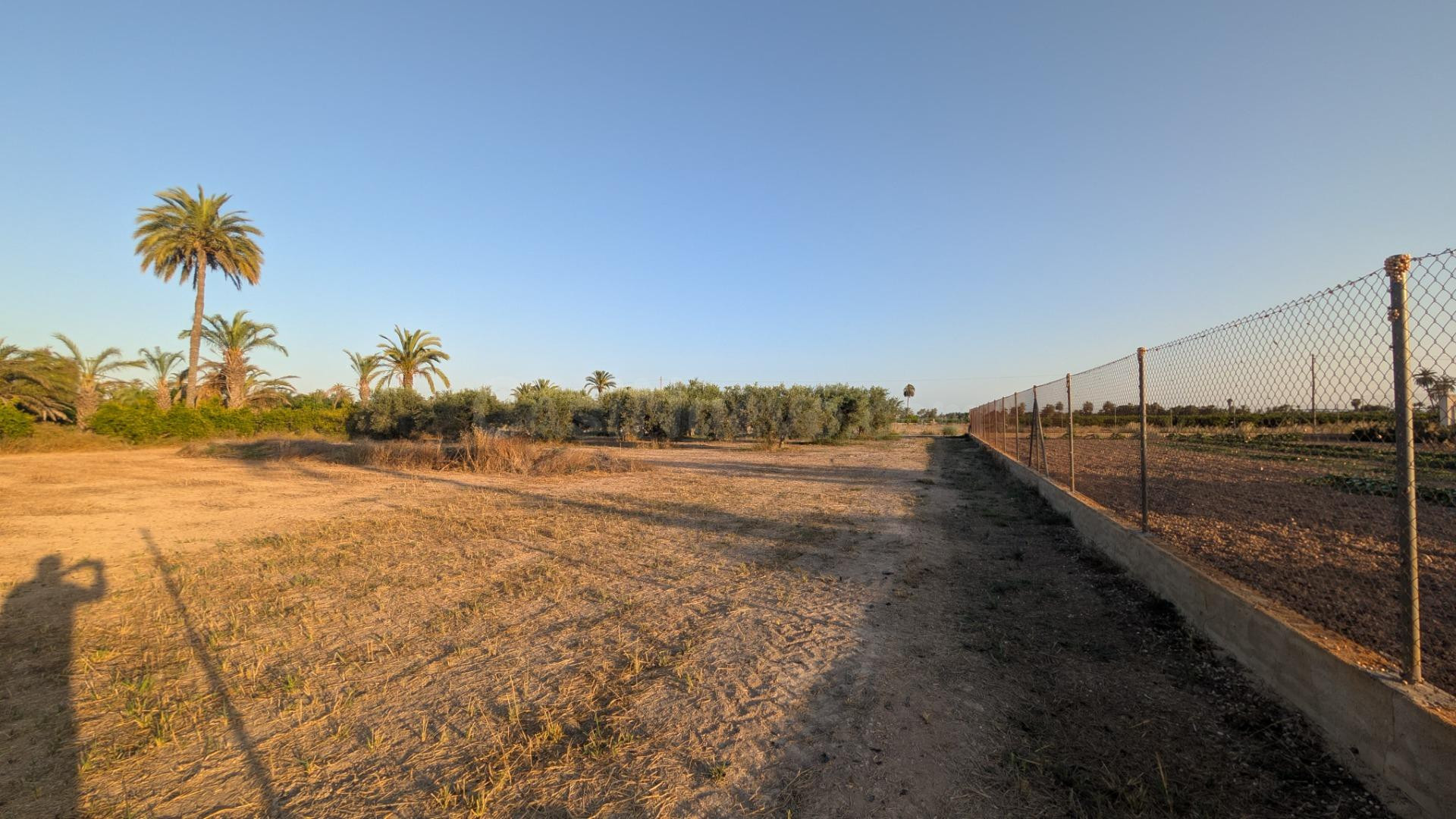 ¡OPORTUNIDAD DE PARCELA EN CARRETERA DE DOLORES CERCANA AL RESTAURANTE EL ESTANQUET!
