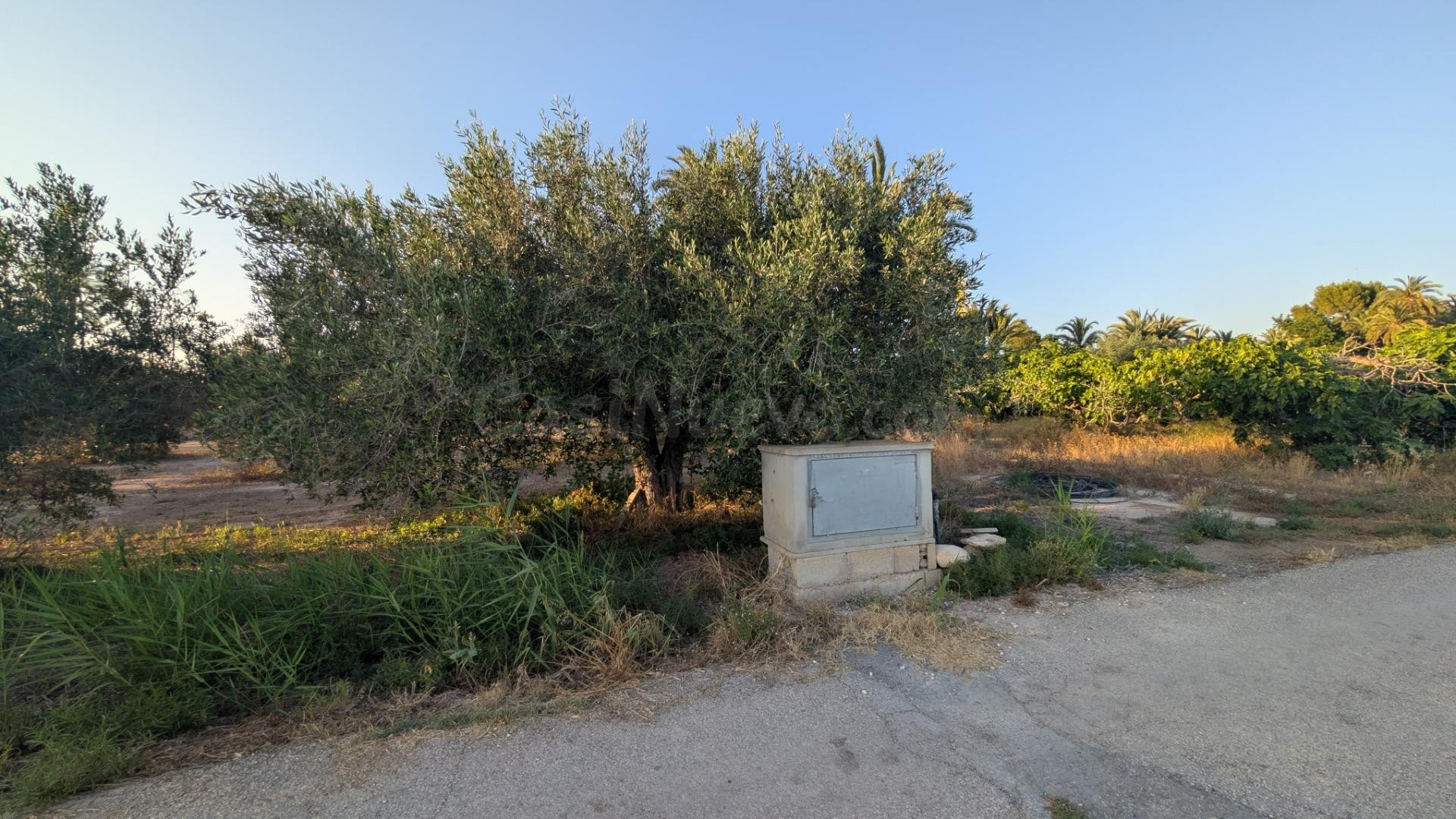 ¡OPORTUNIDAD DE PARCELA EN CARRETERA DE DOLORES CERCANA AL R - foto 2