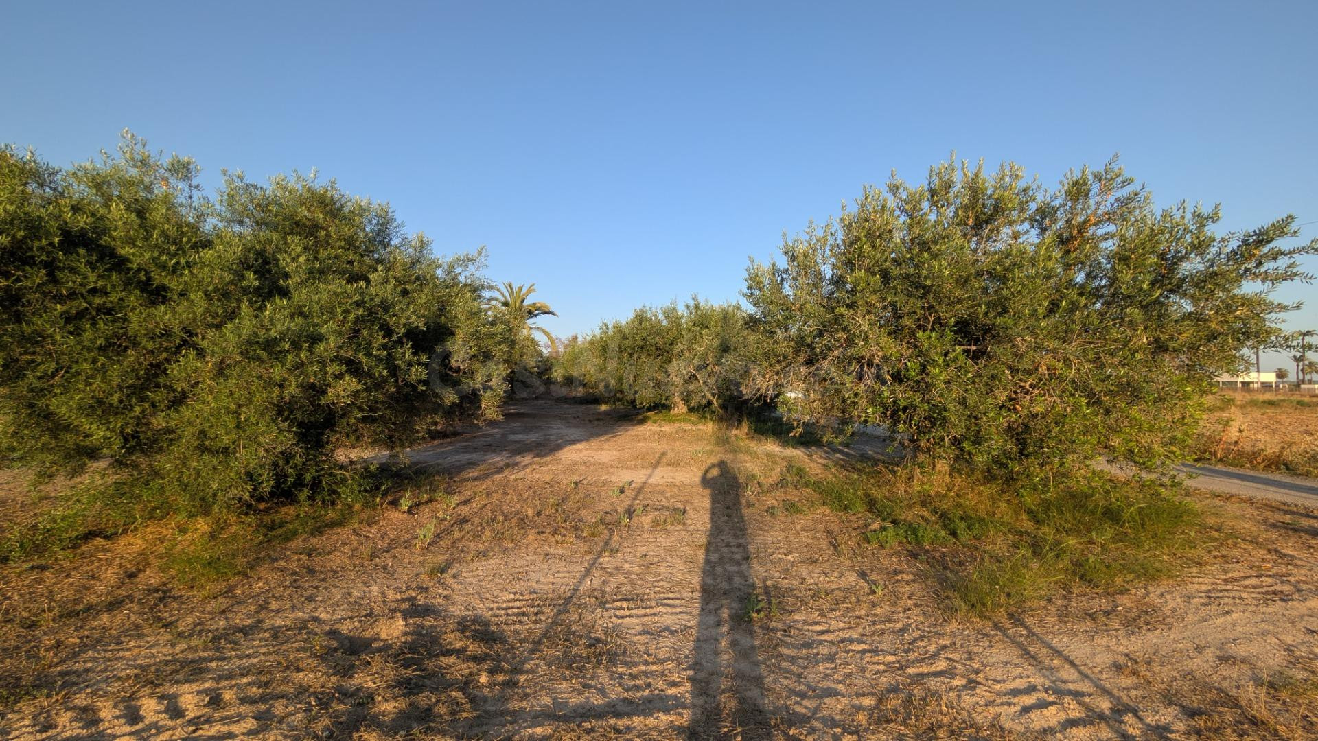 ¡OPORTUNIDAD DE PARCELA EN CARRETERA DE DOLORES CERCANA AL R - foto 3