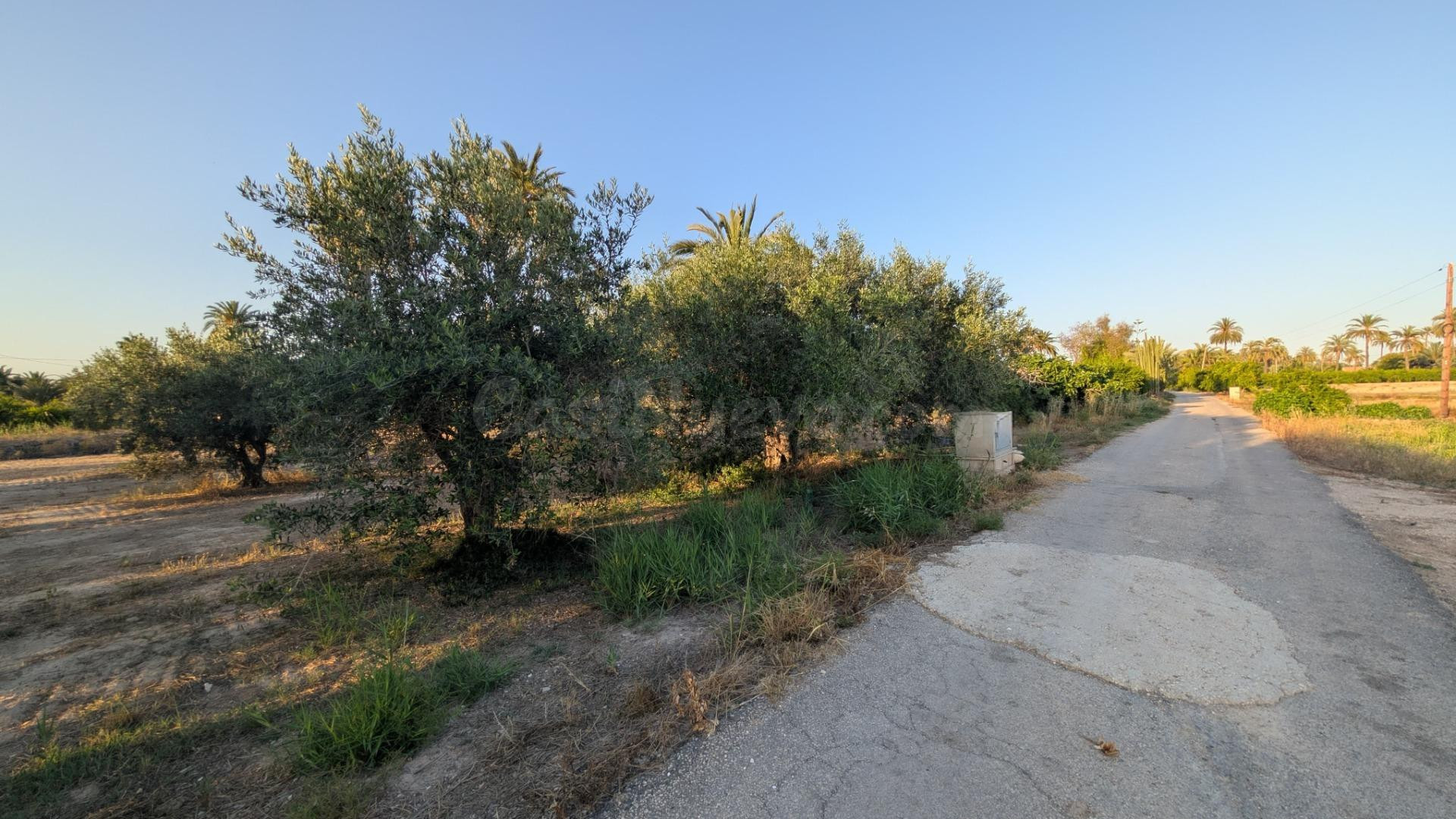¡OPORTUNIDAD DE PARCELA EN CARRETERA DE DOLORES CERCANA AL R - foto 4
