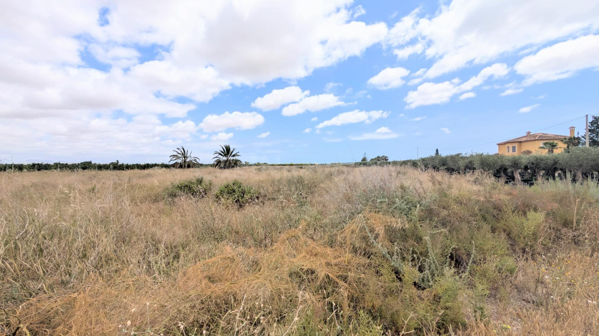 ¡PARCELA RÚSTICA EN VENTA EN BAYA BAJA, ELCHE, 5.718 m2, CON
