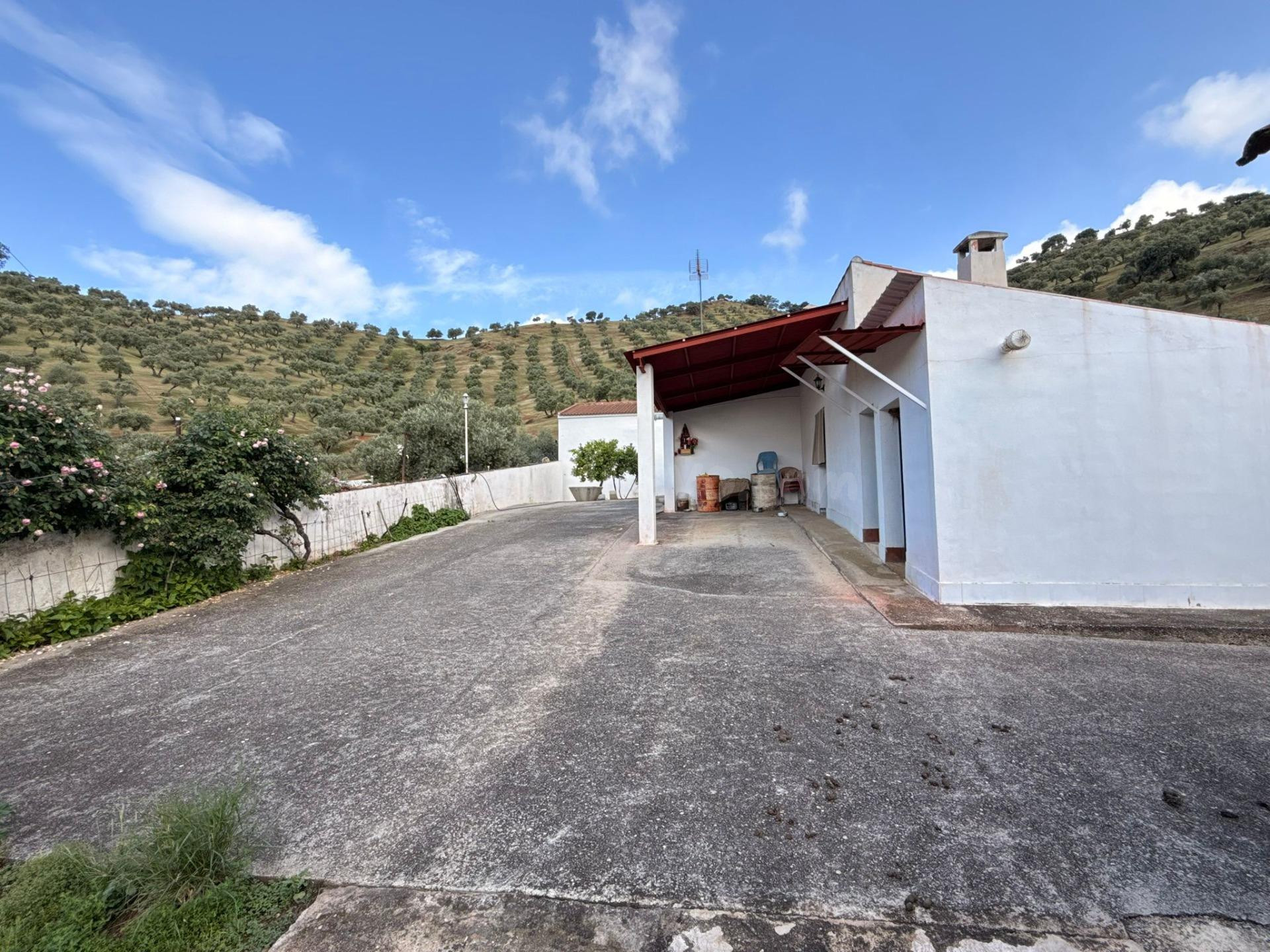 Finca rústica de 26 ha con 3.000 olivos ecológicos, cortijos