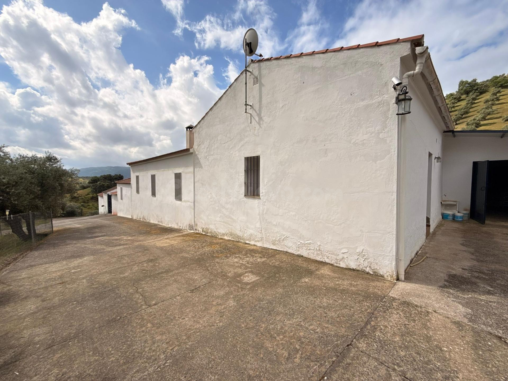 Finca rústica de 26 ha con 3.000 olivos ecológicos, cortijos - foto 2